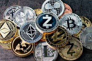 Will Bitcoin Impede Or Support Altcoin Rally? On-Chain Data Signals Market Uncertainty