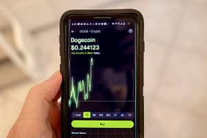 Dogecoin Price Risks Crash Below $0.1, But Can Bulls Facilitate This 800% Rally To $1.82 First?