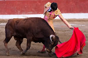 Bitcoin Analyst Builds BTC’s Bullish Case After Binance Volume Spike, Fed Liquidity Surge
