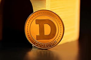 Dogecoin Price Tops Tend To Follow Surges In Retail Futures Activity, Analysis Shows