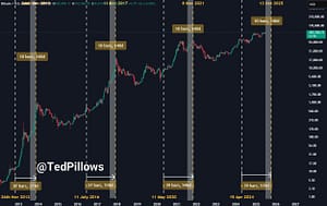 No Need To Panic, Bitcoin’s Peak Still Coming In October 2025 – Analyst