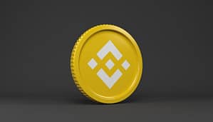 The BNB Paradox: Bearish Breakdown Meets Bullish Flag, Which Will Prevail?