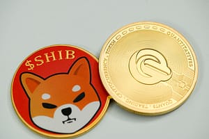 Shiba Inu Team Member Reveals ‘Primary Challenge’ And ‘Top Priority’ Amid Market Uncertainty