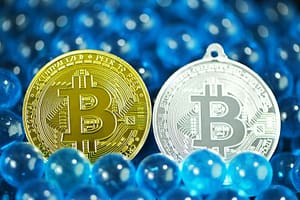 Bitcoin Absorbs Strong Selling Pressure On Binance Derivatives – Breakout Ahead?