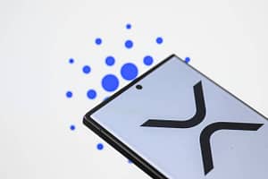 XRP Analyst Marks XDC For 3,350% Take-Off As Bullish Metrics Emerge