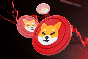 Shiba Inu Price Forms Double Bottom At Demand Zone — What To Expect