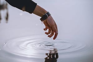 Don’t Hold Back—Expert Recommends Full Stake In XRP