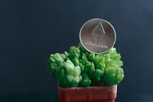 Ethereum Holders Stay Committed Despite Unrealized Losses – Signs Of An Incoming Rally?