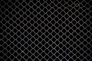 Chainlink Whales Scoop Up $150 Million LINK In Two Weeks – More Gains Ahead?