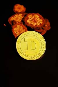 Dogecoin’s $1 Dream: Analyst Reveals When It Could Finally Happen