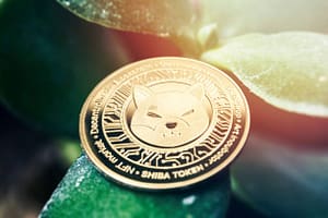 Shiba Inu Price In Trouble? SHIB Team Goes After Attackers After Major Bridge Compromise