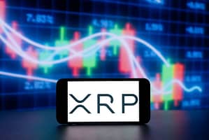 Major XRP Accumulation Alert: Wallets Holding Over 10,000 Coins Cross 300,000