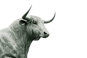 New XRP Rally Incoming? Analyst Believes This Cycle Is Unique