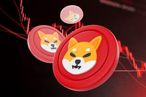 Chainlink Integration Brings Shiba Inu Into New Crosschain Market — What You Should Know